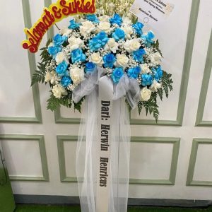 BS800-12